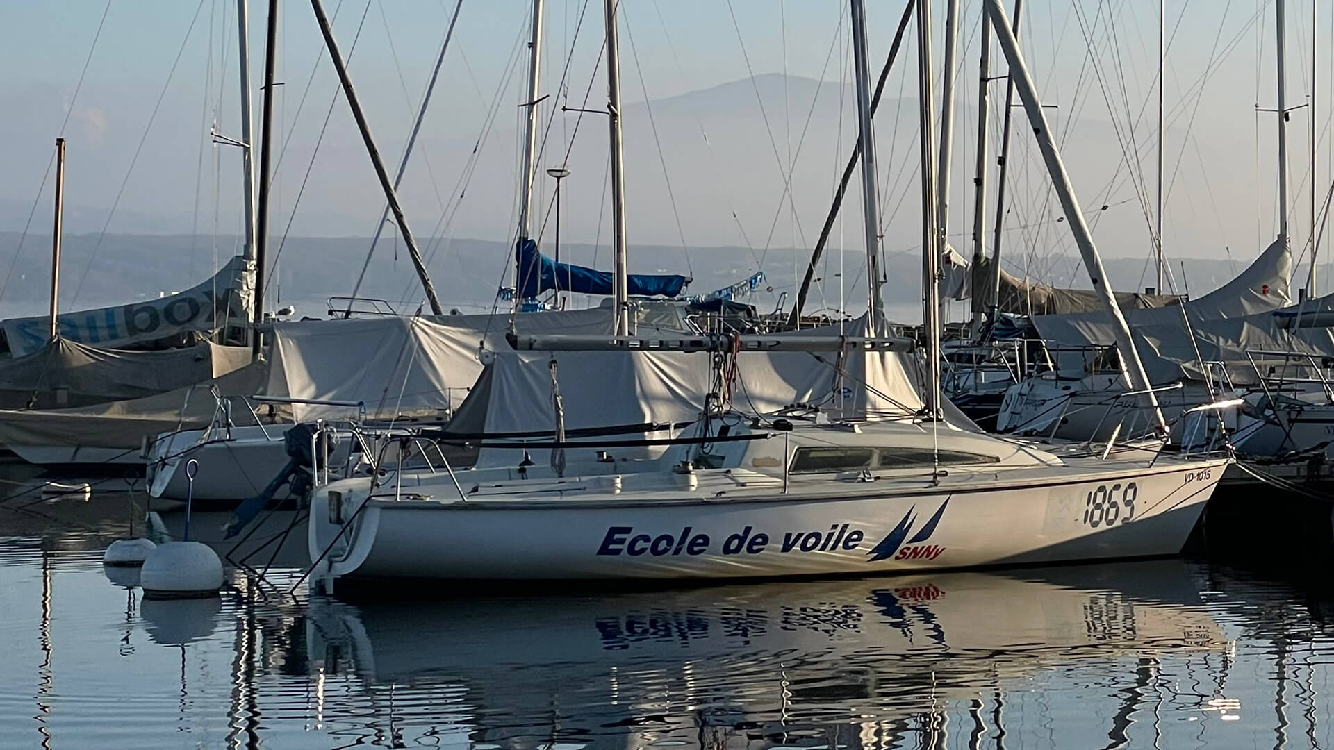 surprise horiz1920x1080