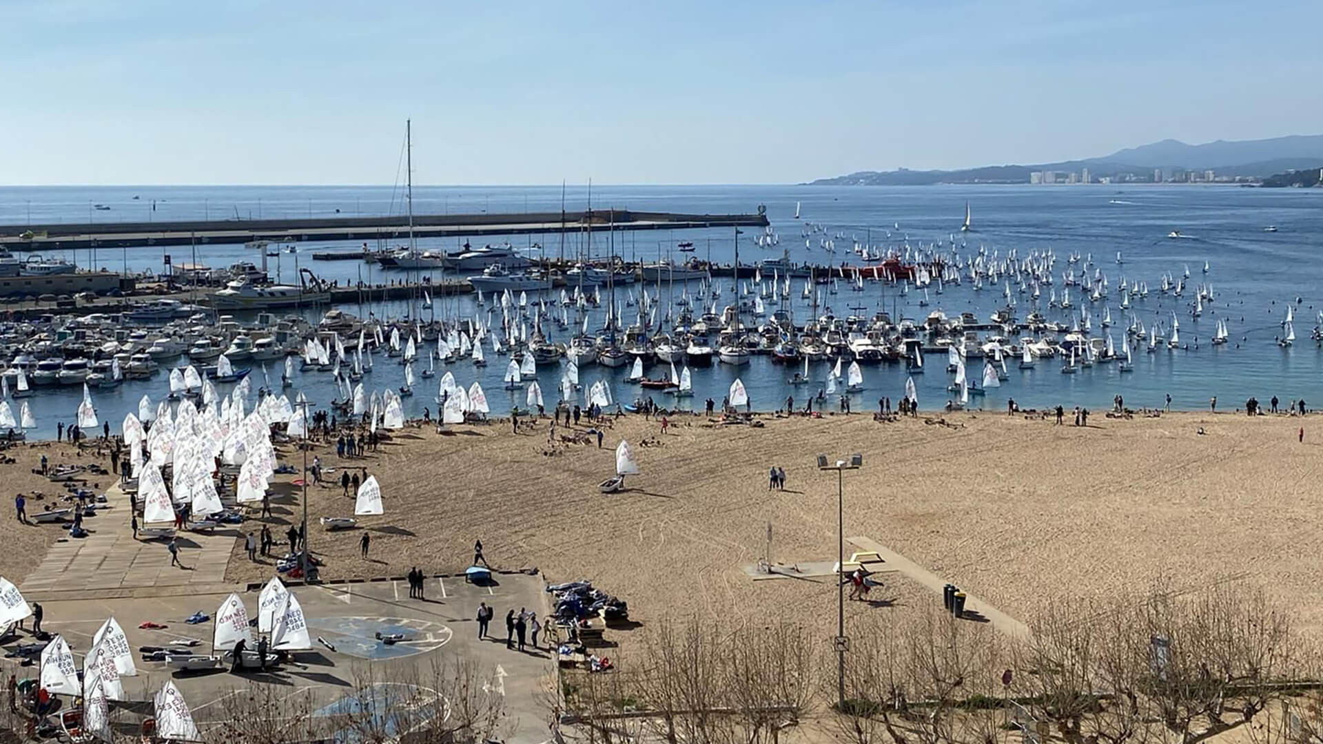 2024 02Opti ElitePalamos