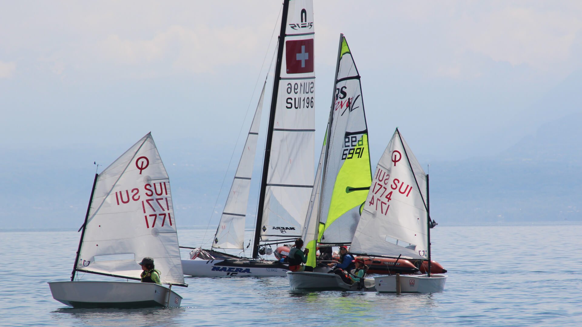 voile competitive 2020